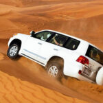 liwa-safari-tour-banner (1)